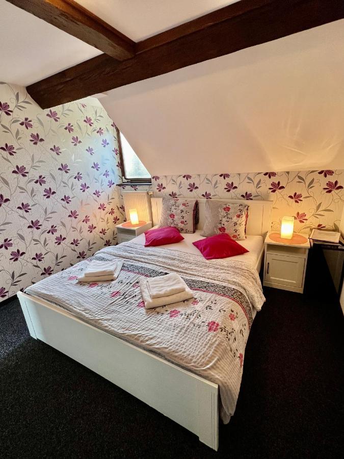 Hotel Jiricna Sušice المظهر الخارجي الصورة